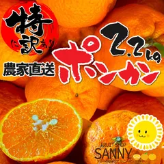 2025年最新】ポンカンの人気アイテム - メルカリ