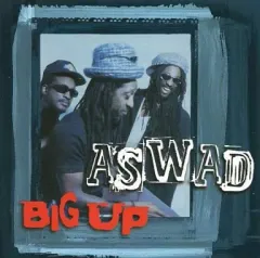 【中古】輸入洋楽CD ASWAD / Big Up[輸入盤]