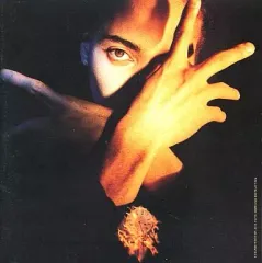 【中古】輸入洋楽CD TERENCE TRENT D’ARBY / NEITHER FISH NOR FLESH[輸入盤]