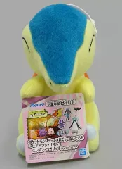 【中古】ぬいぐるみ ヒノアラシ つれてってぬいぐるみ～ヒノアラシ・リオル・エレズン・コオリッポ(ナイスフェイス)～ 「ポケットモンスター」