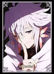 [중고] 공급 부시로드 슬리브 컬렉션 하이 그레이드 Vol.2507 Fate / Grand Order - 절대 마수 전선 바빌로니아 - [캐릭터 비주얼 마린 ver.]