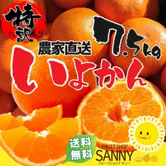 2026年最新】伊予柑の人気アイテム - メルカリ