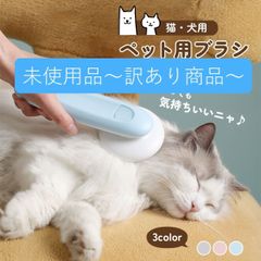 Item thumbnail for item 7554f4c3-ad8a-407b-bb07-56c01d3bc903