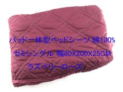 Item thumbnail for item 2197bed4-379a-4e12-802a-1cd1592e5fc0