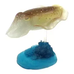 2026年最新】立体カプセル百科事典 原色タコ・イカ図鑑の人気アイテム