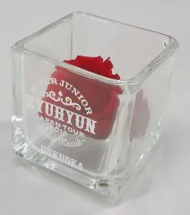 【中古】小物(男性) キュヒョン プリザーブドフラワー(赤) 「SUPER JUNIOR KYUHYUN JAPAN TOUR 2016 ～Knick Knack～」 福岡会場限定