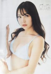 Item thumbnail for item 64e44b17-ef97-4a64-88c5-0ae17de07360