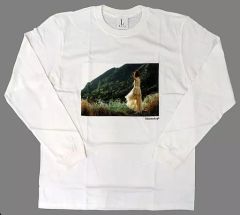 Item thumbnail for item 2b06d905-1f98-442b-944b-7fa208ae1a30