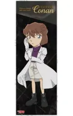 【中古】ポスター 灰原哀 「名探偵コナン ポス×ポスコレクション vol.11」