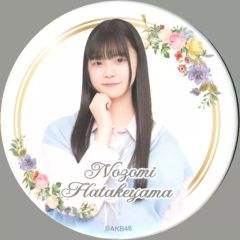 Item thumbnail for item 9d9c082b-494c-4185-9cbc-b6734fe7a6d6