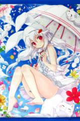 はつゆきさくら 玉樹桜 等身大タペストリー - メルカリ