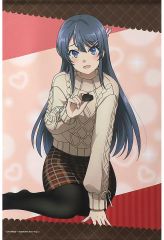 [중고] 태피스트리 사쿠라지마 마이 <home> 마이와 보내는 B2 태피스트리 [청춘 돼지 놈은 토끼 소녀 선배의 꿈을 꾸지 않는다 사쿠라지마 마이 발렌타인 데이 애니플렉스 온라인 복권] A상