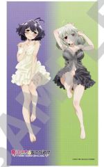 魔法少女にあこがれて B2判ラメタペストリー うてな＆キウイ 新品未