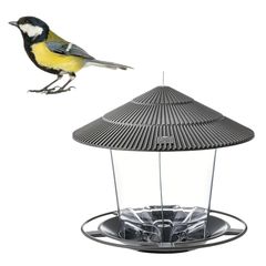 Item thumbnail for item 25f96526-1f23-4de4-bbaf-628959079738