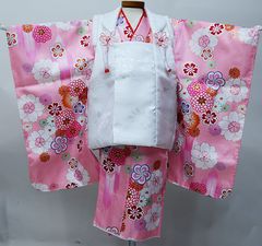 Item thumbnail for item 360d06ef-a1e9-46f7-ab4c-004f561009e3