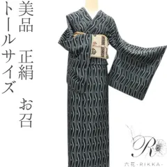 未使用 天目織 希少色 トールサイズ 御召 小紋 正絹 白 黒 グレー 1369 未使用 天目織 希少色 トールサイズ 御召 小紋 正絹 白 黒 グレー 1369