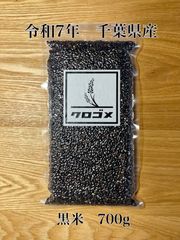 多肉植物 ハオルチア 令和7年4-6月採る オブツーサ錦 混合交配種子 100