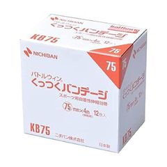 Item thumbnail for item c038b064-24dc-4d1a-9376-d1861d76697c