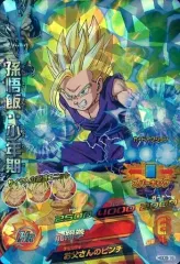 【中古】ドラゴンボールヒーローズ HGD9-16[スーパーレア]：孫悟飯：少年期