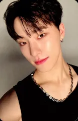 【中古】コレクションカード(男性) SEVENTEEN/ディノ(DINO)/CD「SPILL THE FEELS(Standard Ver.)」(FEEL NEW Ver.)フォトカード