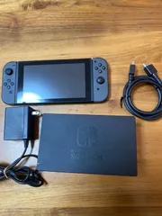 Nintendo Switch 本体 グレー　動作問題なし 付属