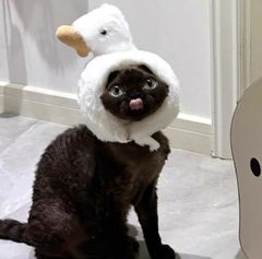 Item thumbnail for item 3cdf6afa-2ef7-4024-b51d-fda3c819154d