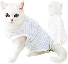 Item thumbnail for item 63ea158a-116c-4fc9-b1b7-8d1a8dfe77f1