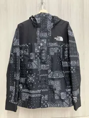 THE NORTH FACE マウンテンジャケット サイズ L/100 GORE-TEX ペイズリー マットブラック NJ2GN60A