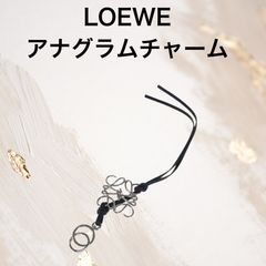 ⭐️LOEWE⭐️ベリーチャーム - メルカリ