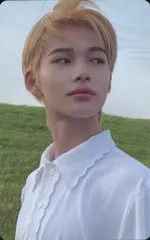 ENHYPEN DIMENSION:ANSWER NIKI トレーディングカード