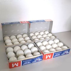 Item thumbnail for item 2a4cc39a-da7d-43fa-a5ba-6c131f3bc4d5