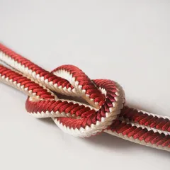 正絹　丸組み帯締め　茶色×象牙色