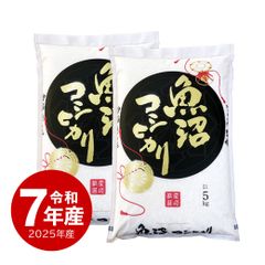 米 20kg 愛知のかおり 令和7年 愛知県産 - メルカリ