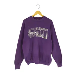 フルーツオブザルーム FRUIT OF THE LOOM 90S USA製 MT.RUSHMOREプリント 裏起毛 ラグランスウェット メンズ import：XL 