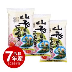 あきたこまち 5kg 2袋セット おいしいお米5kg2袋 合計20kg - メルカリ