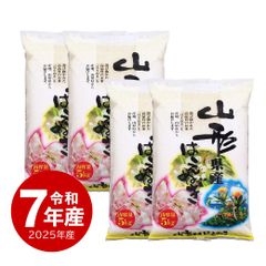 あきたこまち 5kg 2袋セット おいしいお米5kg2袋 合計20kg - メルカリ