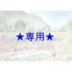桃のゼリー♡さま専用（原画）彩りの花畑　ほか　2点おまとめ