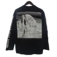 ザノースフェイス THE NORTH FACE ロングスリーブ グラフィック ティー Tシャツ カットソー NT32042 長袖 プリント クルーネック S 黒 ブラック