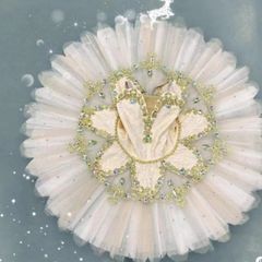 クラシックチュチュ＊チュチュボン＊練習用チュチュ＊ブラウングラデ