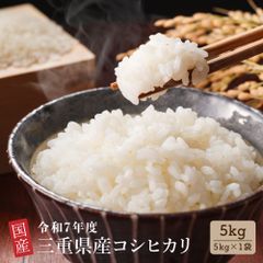 魚沼産コシヒカリ白米5kg〙 令和7年産 湧き水栽培白倉米 - メルカリ