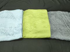 Item thumbnail for item 344fc923-7005-4401-ae03-4c123e8cb266