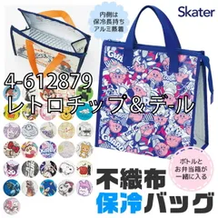 [sf-fbc1-01-04][4-612879/レトロチップ＆デ-ル]