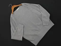 earth music&ecology アースミュージック＆エコロジー Vネック ニット セーター sizeF/グレー ◇■ レディース