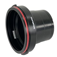 Item thumbnail for item 3fad2999-55c0-436d-b5bb-1c5e0304a4f4