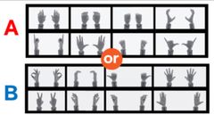 Item thumbnail for item 88f788ff-d47f-4e11-a8f8-5fcb26d9b2cf