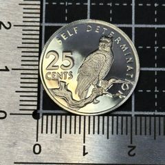プルーフ未使用銀貨 1953年 イギリス 2シリング銀貨 エリザベス2世