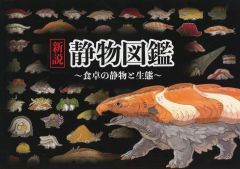 ダークバンケットアクセ 番号エラー版 SCD-6 白銀リリィ 最終値下げ ダークバンケットアクセ エラー版 SCD-6 白銀リリィ 最終