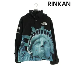 シュプリーム ×ノースフェイス THE NORTH FACE  19AW  Statue of Liberty Mountain Jacket 自由の女神マウンテンブルゾン メンズ S ※12/28