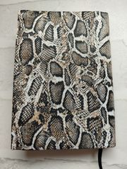 Item thumbnail for item 55c6223c-4489-4871-bbe1-cd76958e52d3