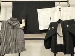 Item thumbnail for item 65b50252-6f60-4fee-ab18-182aa819b770